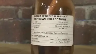 Best pornstar amber peach in fabulous blonde facial xxx scene